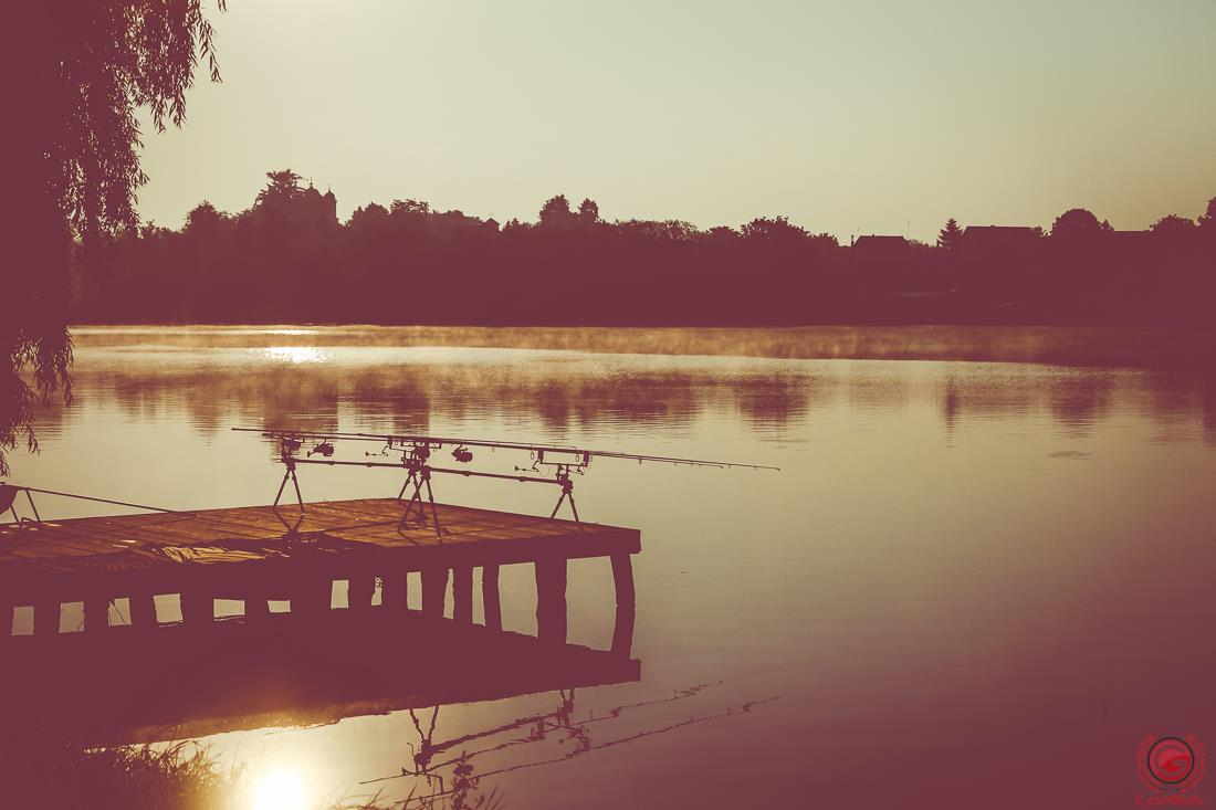 Regulament si taxe de pescuit pentru anul 2017 la Moara Vlasiei 2